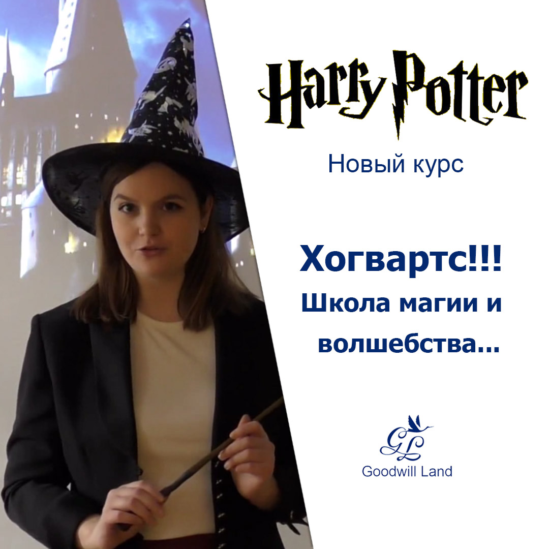 Курс Harry Potter 2020